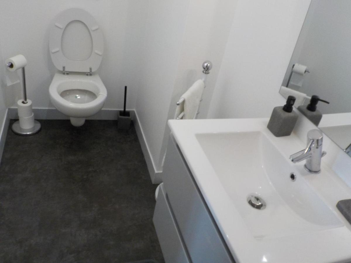 Charmant Appartement Dans Maison De Caractere Saint-Brice-sur-Vienne المظهر الخارجي الصورة